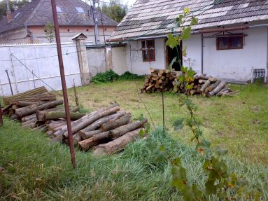 PRENAJOM CHALUPY Z 1900 HODA