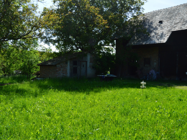 foto dvor