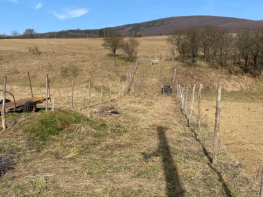 Obrázok WhatsApp 2025-03-10 o 21.09.16_672eb916