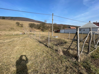 Obrázok WhatsApp 2025-03-10 o 21.09.16_cc48e74b