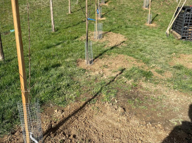 Obrázok WhatsApp 2025-03-10 o 21.20.45_3ed1b53c