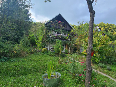 20250905_142927_1_11zon