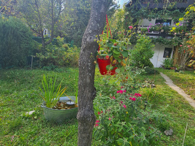 20250905_142952_2_11zon