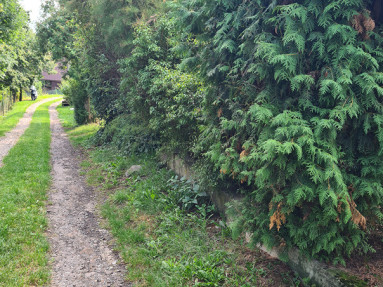 20250905_143404_3_11zon