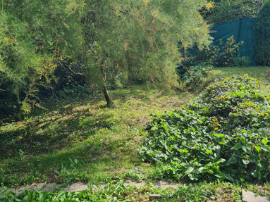 20250905_143416_4_11zon