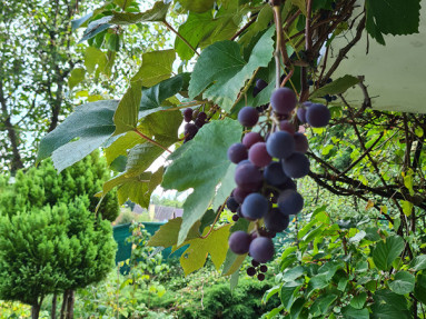 20250905_143503_5_11zon