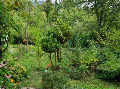 20250905_143744_7_11zon