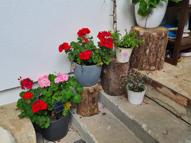 20250905_143826_9_11zon