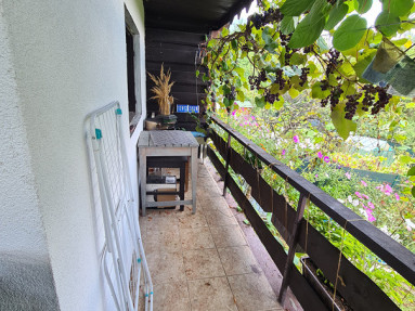 20250905_144545_3_11zon