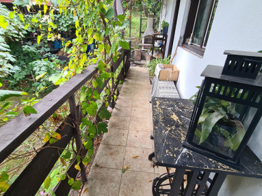 20250905_144603_4_11zon