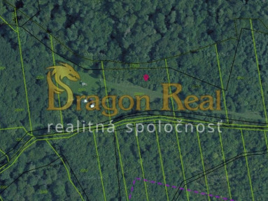 PREDAJ – Pozemok vhodný na rekreáciu o rozlohe 1735 m2 – Fintice
