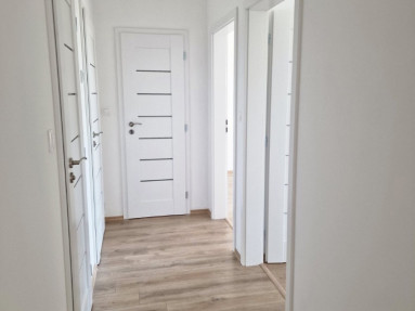 viber_image_2025-09-04_10-24-10-950