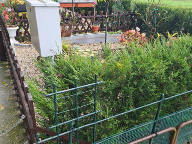 20251113_095703_1_11zon