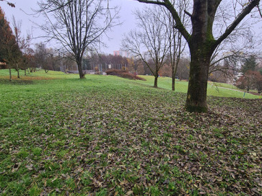 20251113_095744_2_11zon