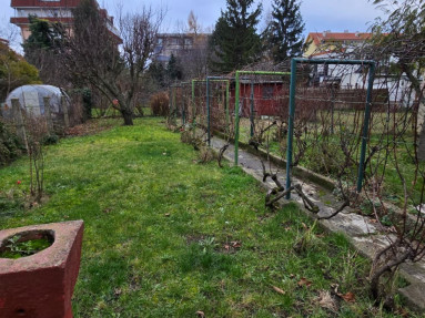 WhatsApp Image 2026-01-31 at 12.36.41