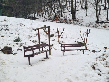 20260131_100001_3_11zon