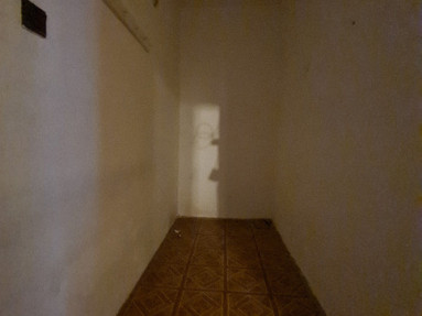 20260131_100858_6_11zon