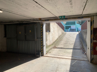 WhatsApp Image 2026-03-08 at 13.39.28 (1)