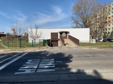 WhatsApp Image 2026-03-08 at 13.39.28 (4)