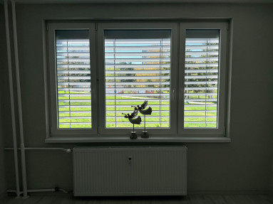 PHOTO-2026-04-10-18-03-07_3_11zon