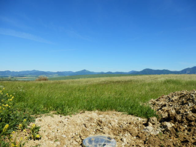 P5290040