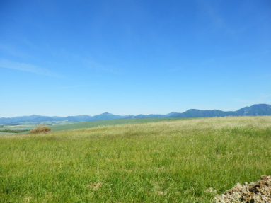 P5290041