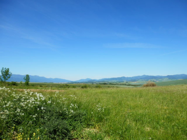 P5290042