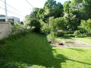 P5250039JPG