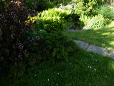 P5250047JPG