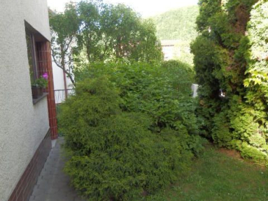 P5250053JPG