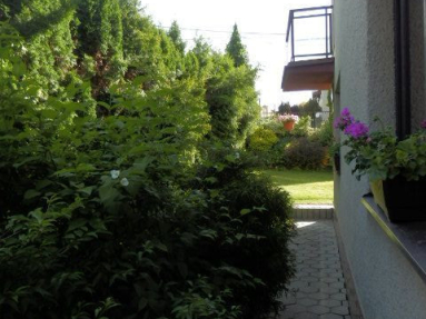 P5250057JPG