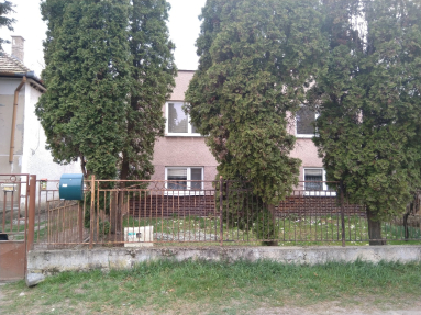 MVIMG_20190403_152352