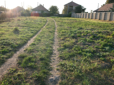 POZEMOK (10)