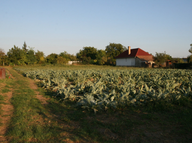 POZEMOK (12)
