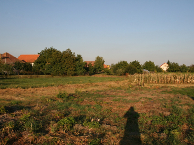 POZEMOK (7)