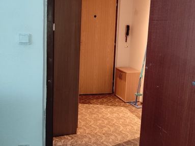 195800400_1392553394436399_5675260412055820891_n