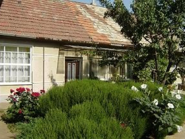RD_dvor