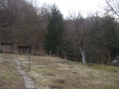 DSC09116