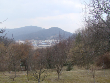 DSC09118