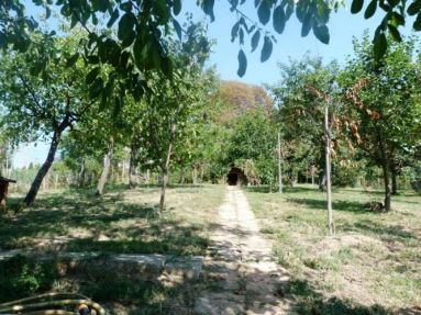 902789_47130893_b-01