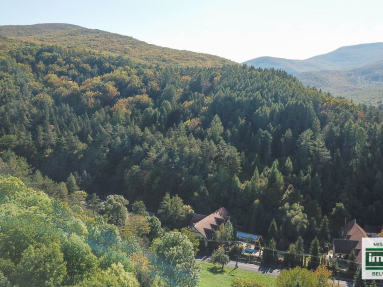 DJI_0205