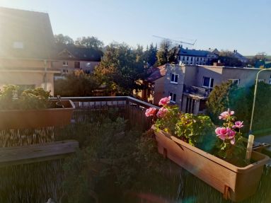 IMG_20221020_162251_edit_206163784788332