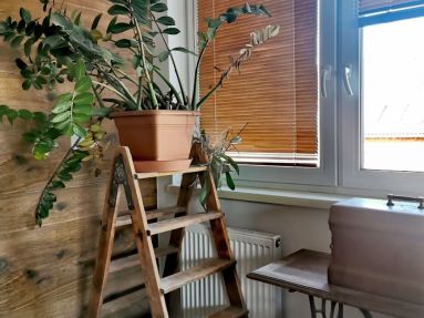 IMG_20221022_090338_edit_263559372783740