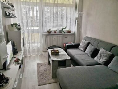 325154650_1554568065062937_7103467054119420138_n