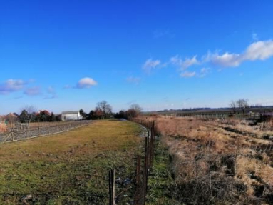 IMG_20220122_110238
