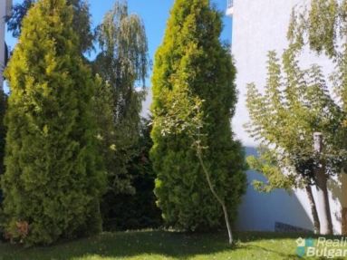 IMG_20220919_113126-768x432