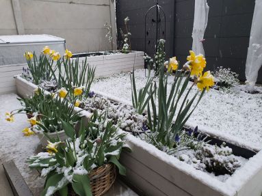 20556b36-8a78-4d82-a5d1-b38aa8362ad3[2]