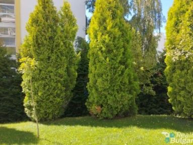 IMG_20220919_113124-768x432