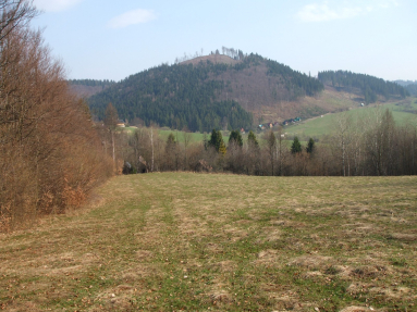 DSCF7273
