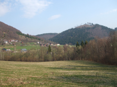 DSCF7282